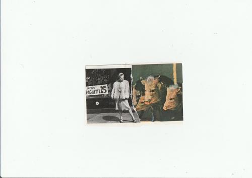 IMG_20171104_0013_NEW